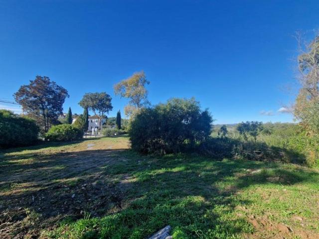 Parcela en venta en Sotogrande, SOTOGRANDE ALTO