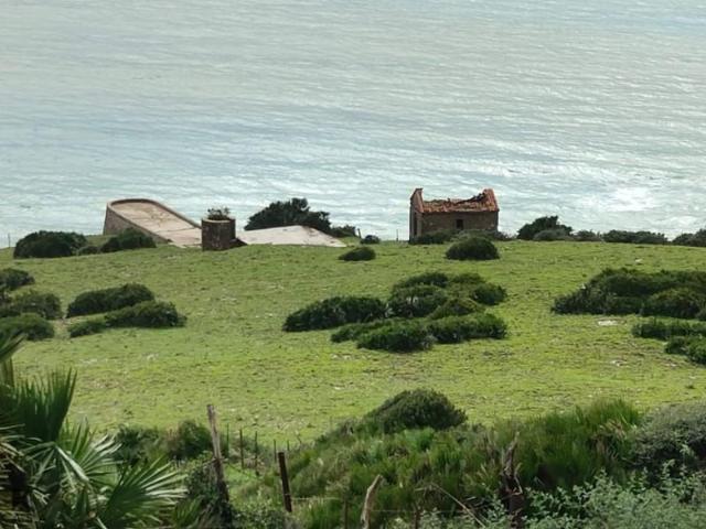 Parcela en venta en Tarifa, Tarifa
