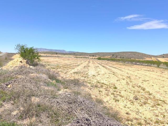 Parcela en venta en Torre Pacheco Murcia