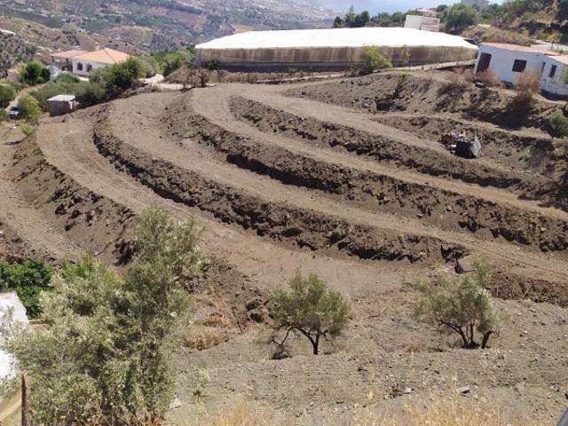 Parcela en venta en Torrox, Campo