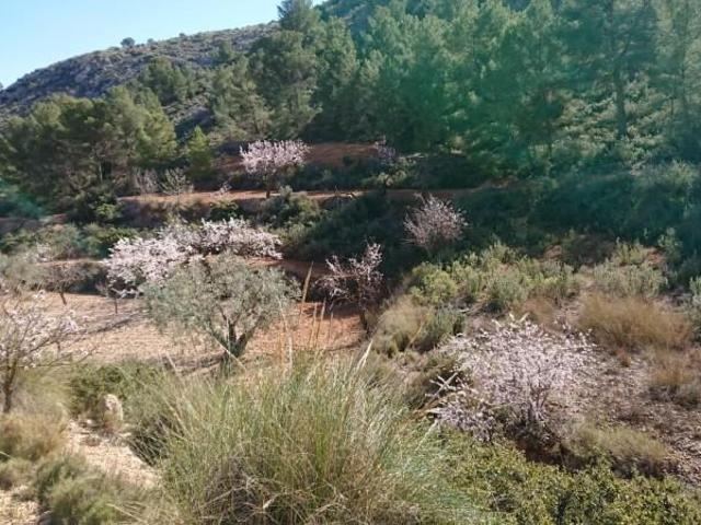 Parcela en venta en Totana, Lebor