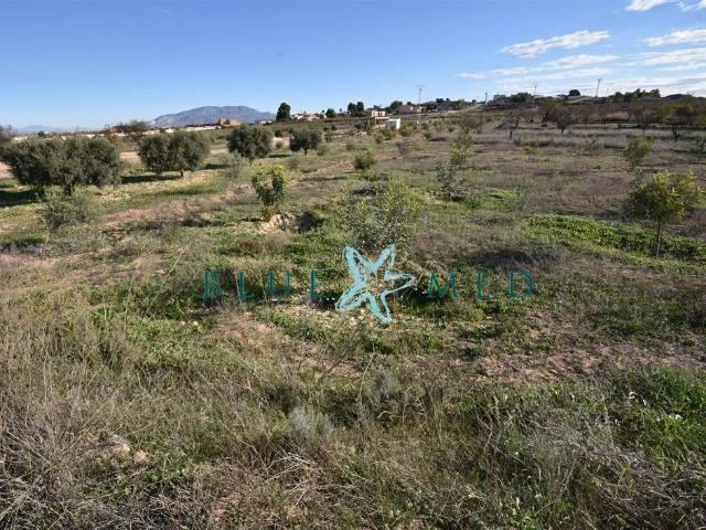 Parcela en venta en Totana Murcia