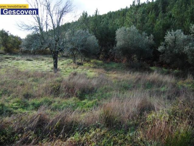 Parcela en venta en Valencia de Alcántara, Campiña