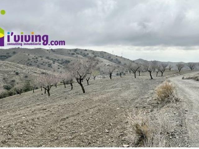 Parcela en Venta en Vélez Rubio, Almería