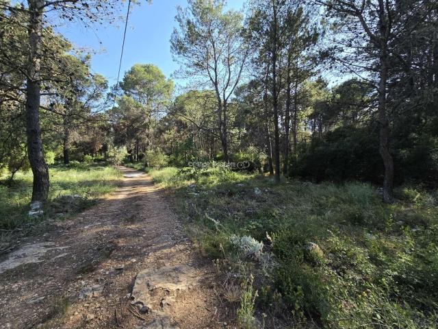 Parcela en venta en Villalonga Valencia