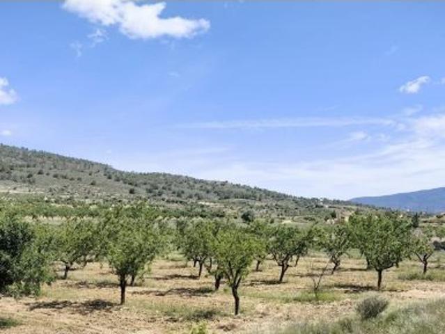 Parcela en Venta en Yecla, Murcia