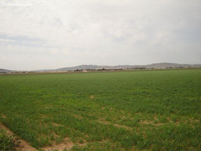 Parcela en Venta en Yecla, Murcia