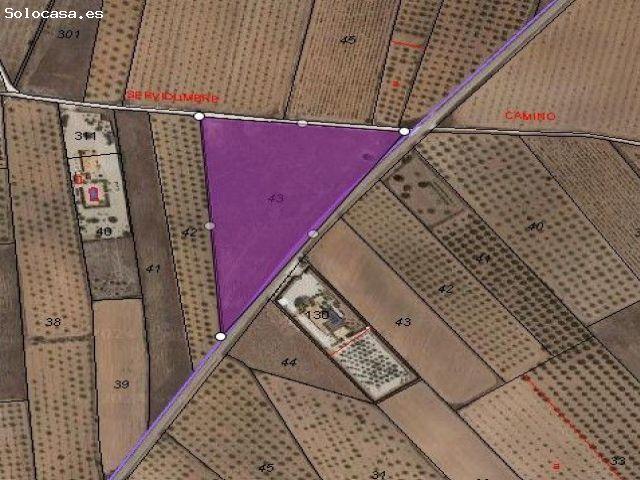 Parcela en Venta en Yecla, Murcia