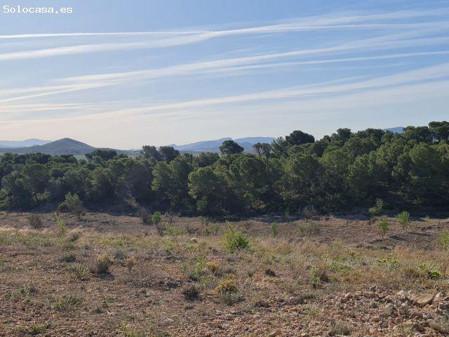 Parcela en Venta en Yecla, Murcia