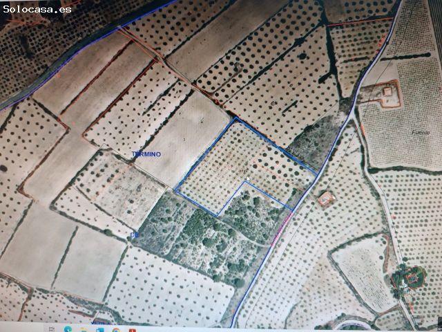 Parcela en Venta en Yecla, Murcia