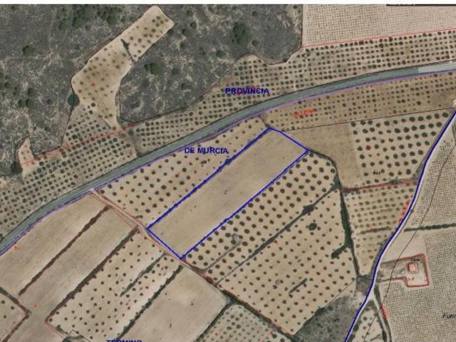 Parcela en Venta en Yecla, Murcia