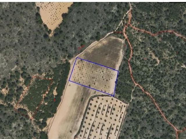 Parcela en Venta en Yecla, Murcia