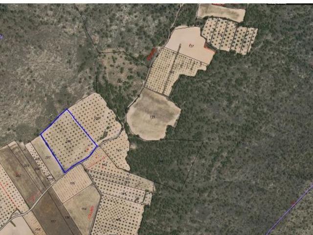 Parcela en Venta en Yecla, Murcia