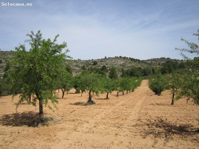 Parcela en Venta en Yecla, Murcia