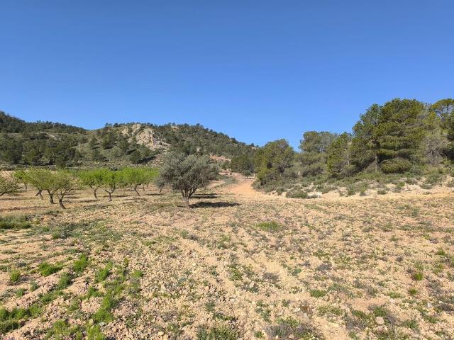 Parcela en venta en Yecla Murcia