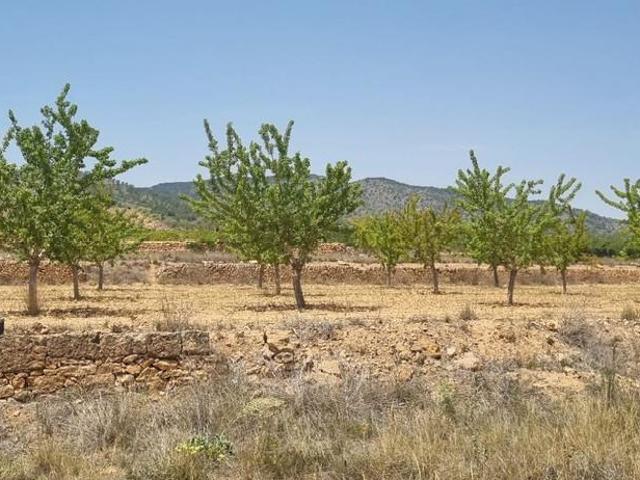 Parcela en venta en Yecla Murcia