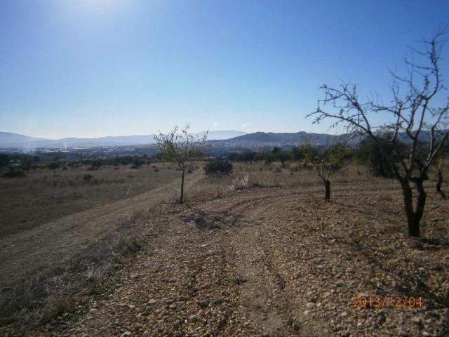 Parcela en venta en Yecla Murcia
