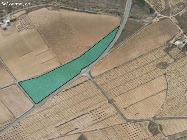 Parcela en Venta en Yecla, Murcia