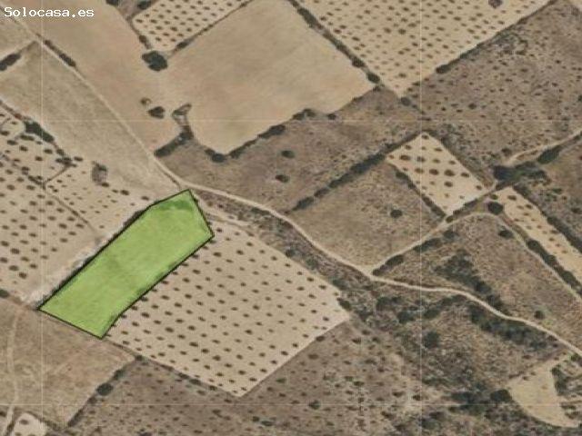 Parcela en Venta en Yecla, Murcia