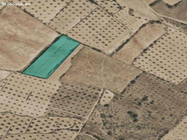Parcela en Venta en Yecla, Murcia