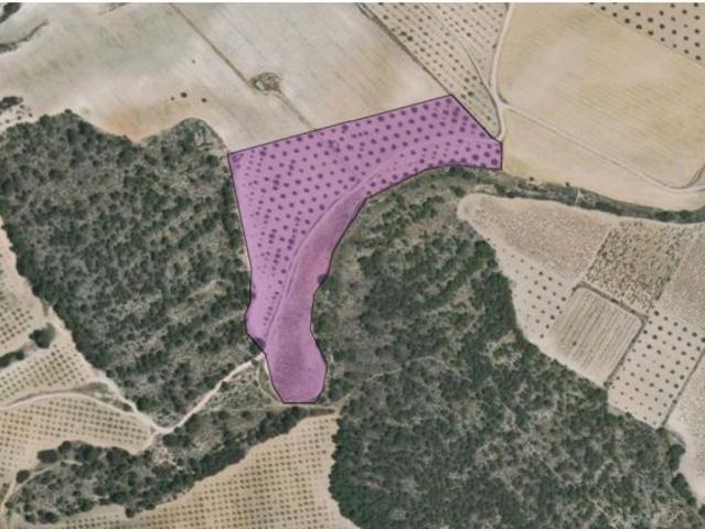Parcela en Venta en Yecla, Murcia