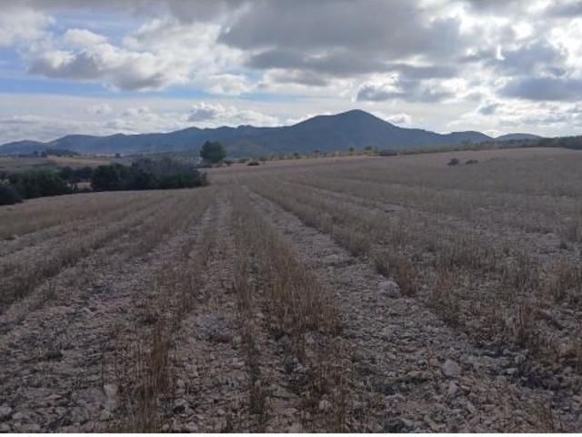 Parcela en Venta en Yecla, Murcia