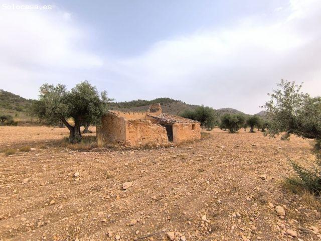 Parcela en Venta en Yecla, Murcia
