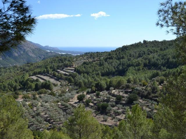Parcela en venta. GUADALEST