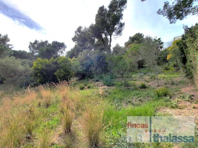 Parcela en venta. LLORET DE MAR