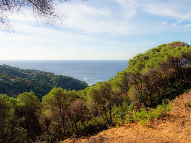 Parcela en venta. LLORET DE MAR