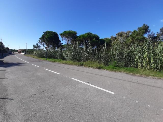 Parcela en venta. LLORET DE MAR