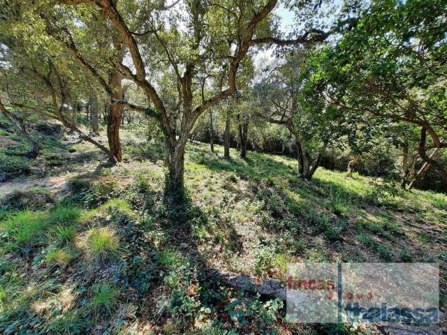 Parcela en venta. LLORET DE MAR