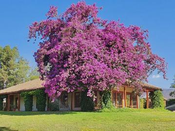 Parcela en venta pircas de huelquen paine