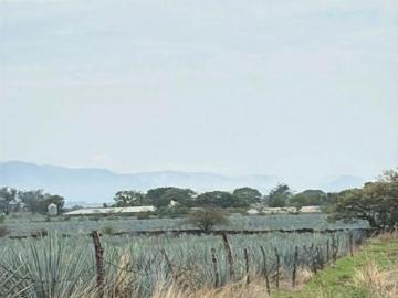 PARCELA EN VENTA RANCHO EL COLORADO AMATITAN JALISCO