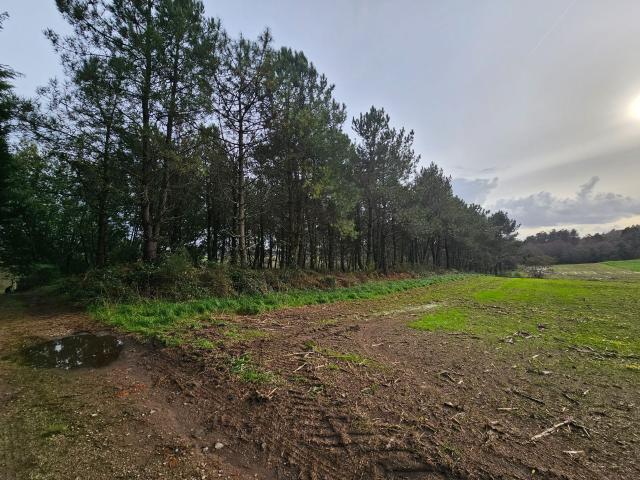 Parcela en venta. SANTIAGO DE COMPOSTELA