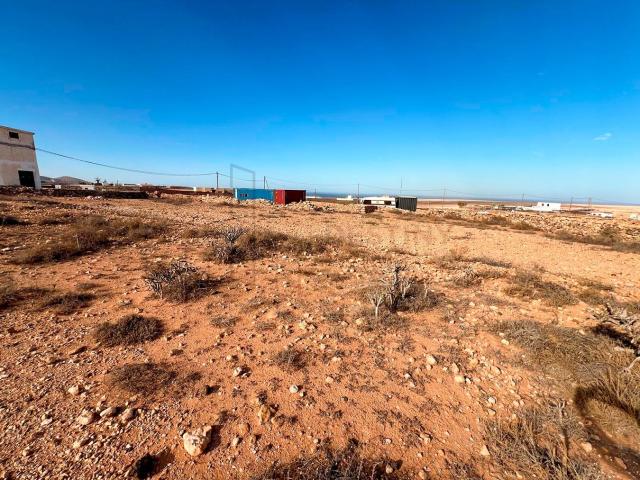 Parcela en venta. TINDAYA