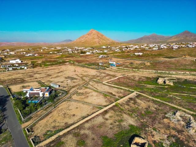 Parcela en venta. TINDAYA