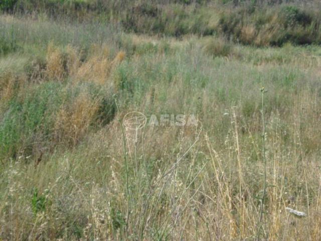 Parcela en venta