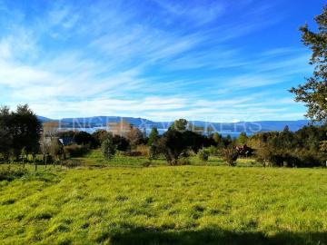 Parcela en Villarrica