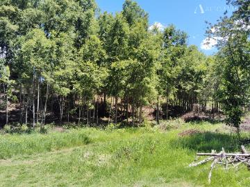 Parcela en Villarrica