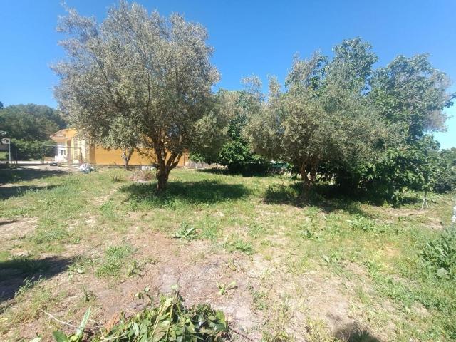 Parcela en zona Montes de Oca