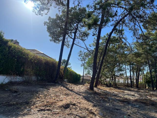 Parcela Industrial Venta Huelva