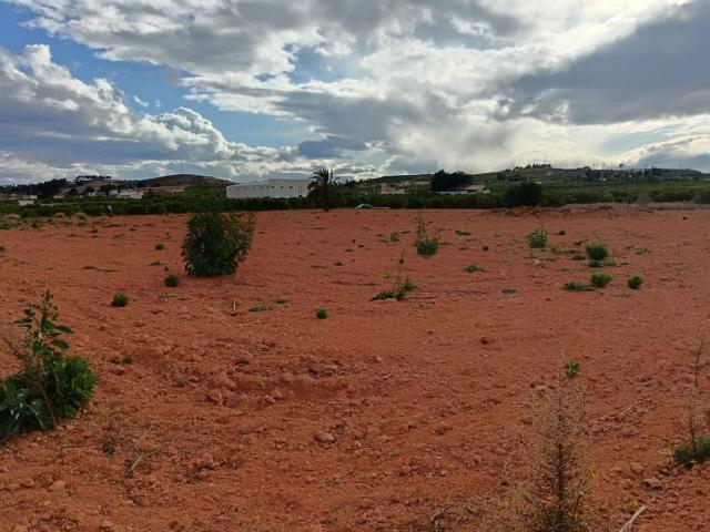Parcela Industrial Venta Murcia