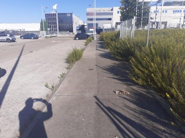 Parcela Industrial Venta Valladolid