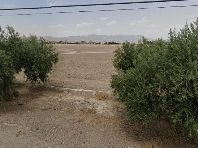 PARCELA PARA EDIFICAR EN MARCHENA