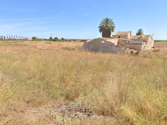 PARCELA RUSTICA 44.317 M2 EN CTRA. SANTA POLA