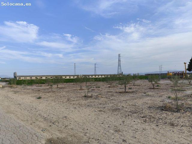 Parcela Rústica 5.000 m2 en La Ñorica
