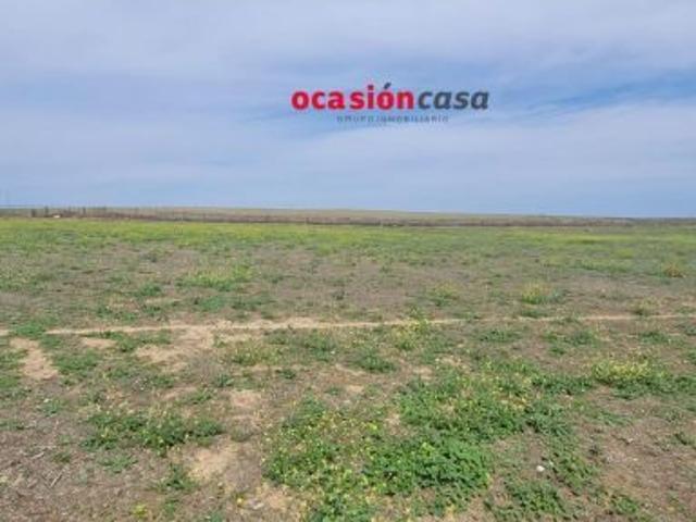 PARCELA RÚSTICA CON NAVE EN VENTA