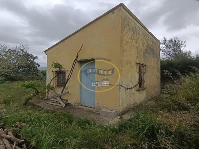 PARCELA RÚSTICA CON OLIVOS Y REFUGIO A LA VENTA EN AIELO DE MALFERIT