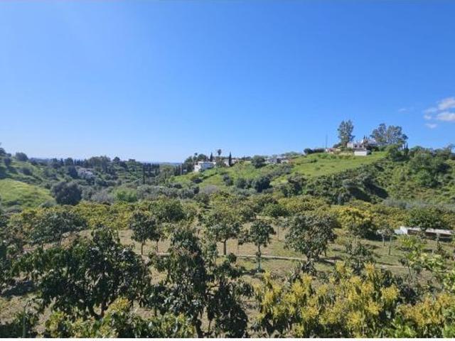 PARCELA RÚSTICA CON CASA DE APEROS Y ÁRBOLES FRUTALES EN LA ALQUERÍA